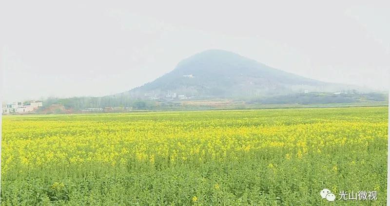 微信图片_20200303113149.jpg