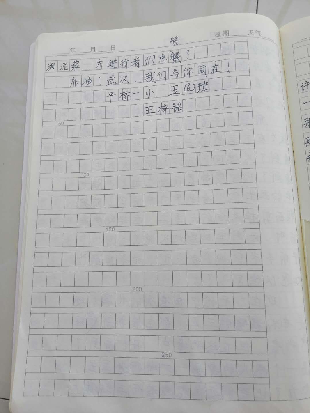 平桥区第一小学 五（6）班 王梓铭3.jpg