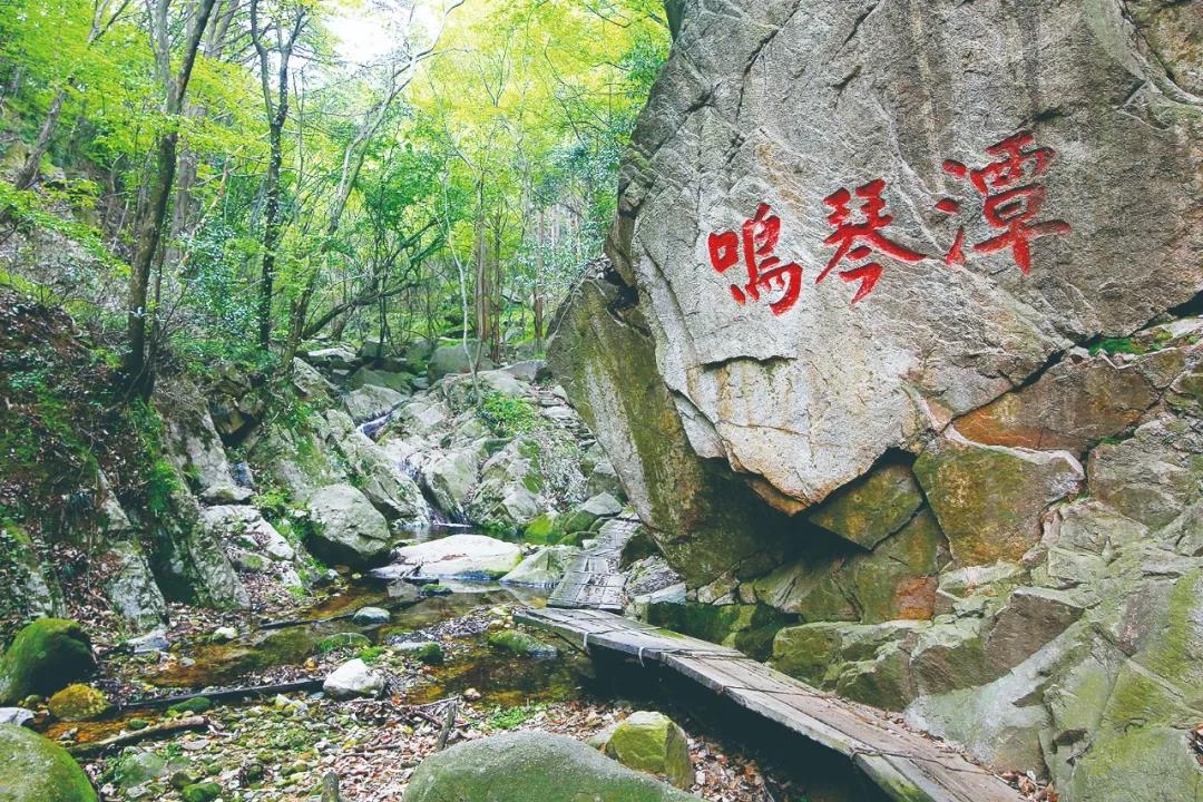 微信图片_20200423163629.jpg