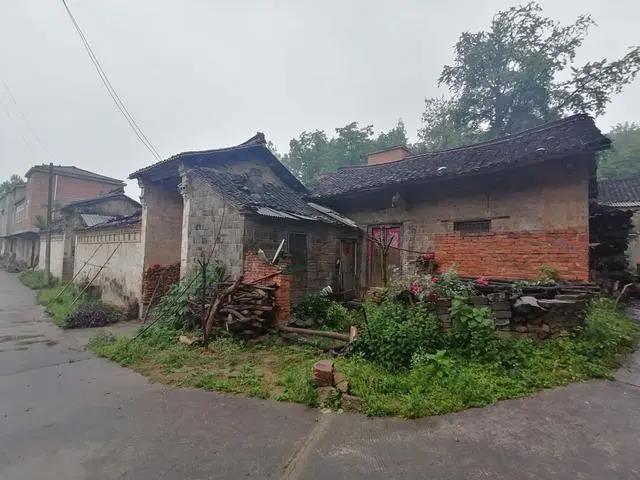 微信图片_20200517162007.jpg