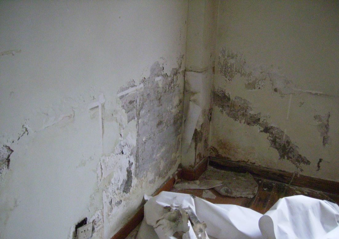20200918181141_4297.jpg