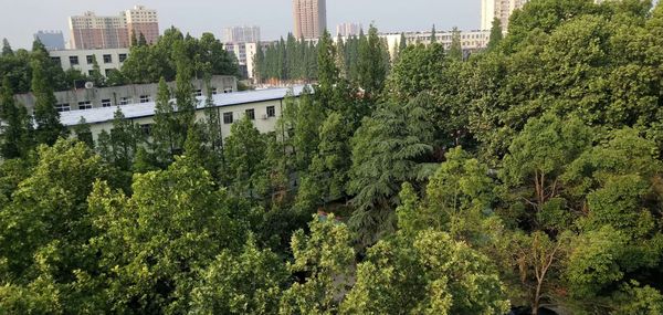 夏之浓郁.jpg