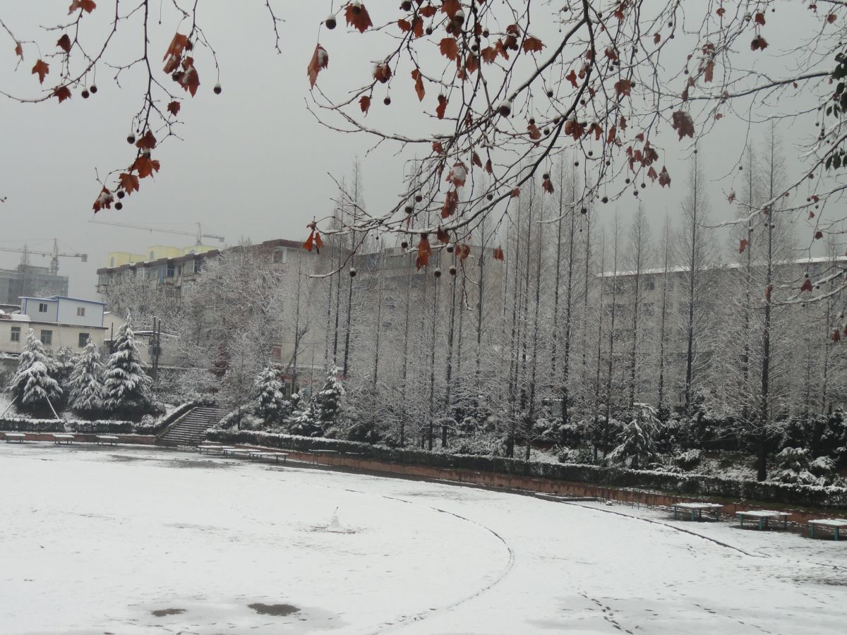 冬之雪韵.JPG