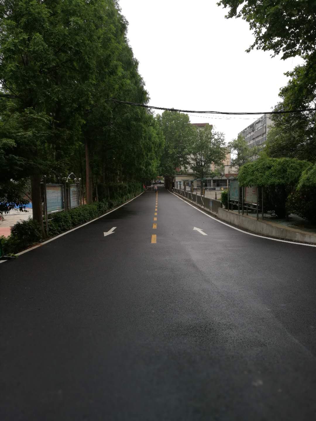 干道清辉.jpg