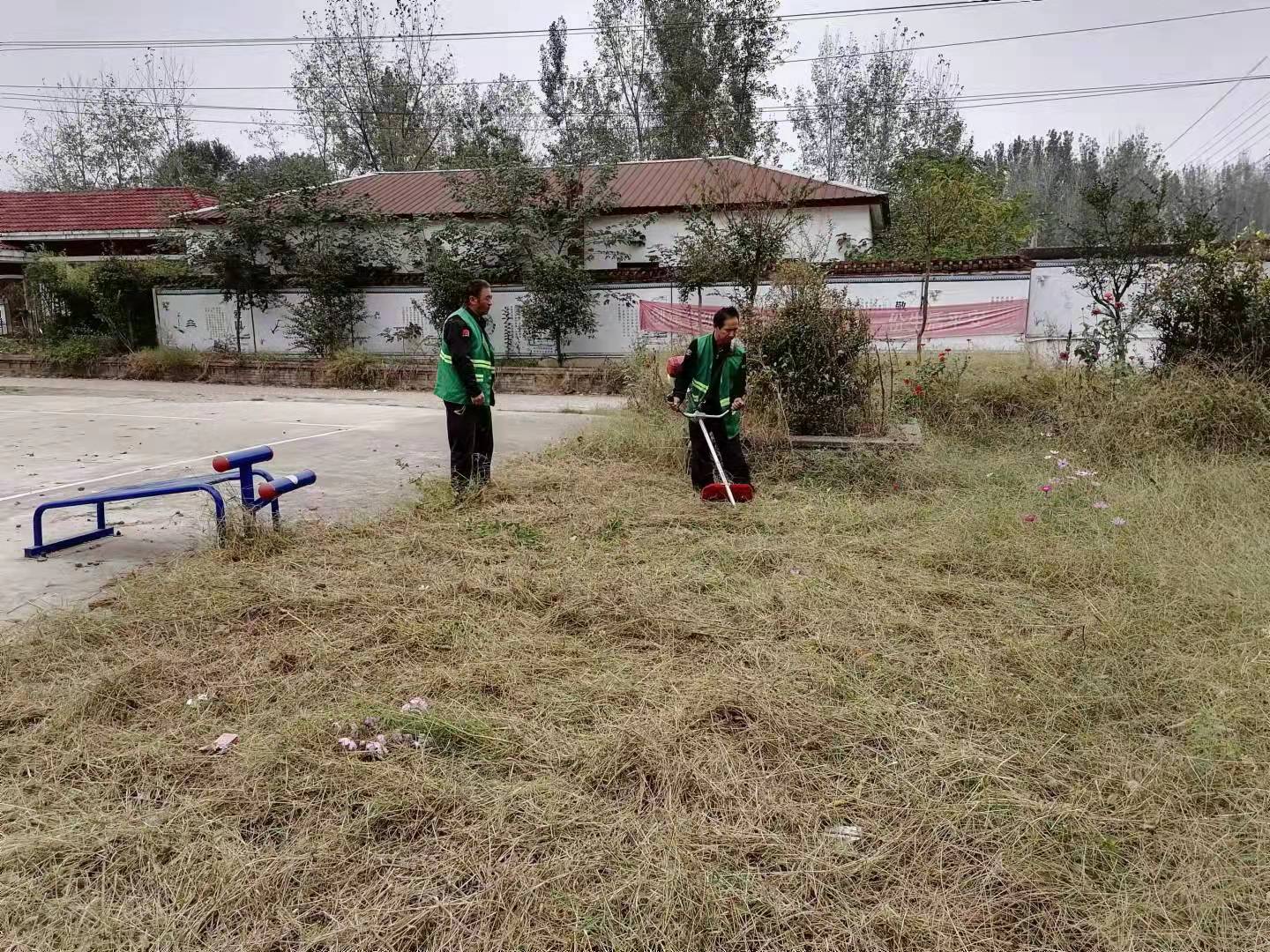 对村文化广场杂草进行清理.jpg