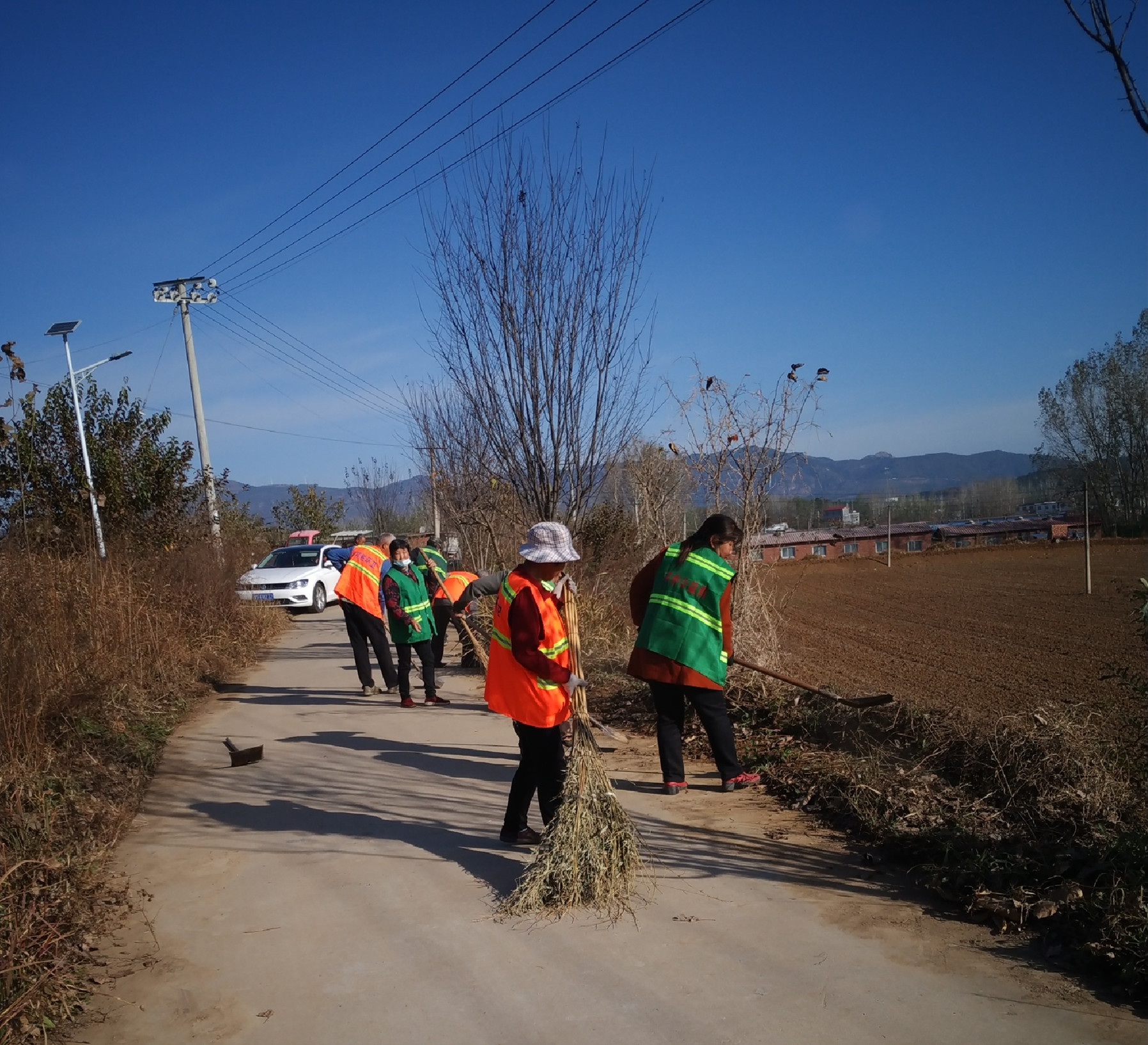 清理道路沿线卫生.jpg