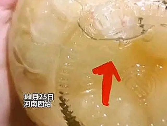 微信图片_20211130085253.jpg