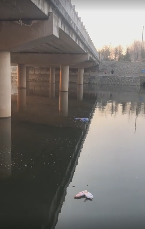 QQ截图20220207090633.png