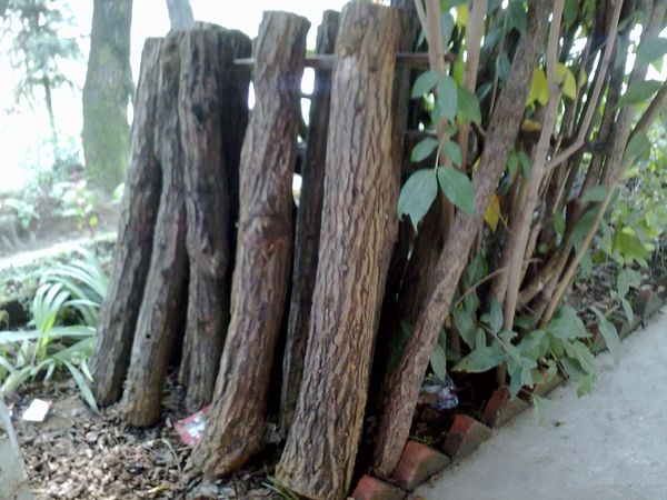 20110913464.jpg