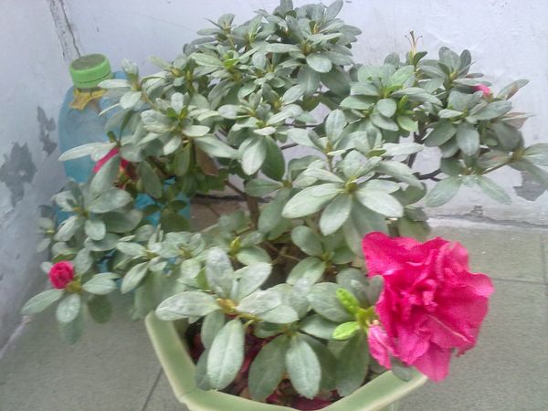 20110901454.jpg