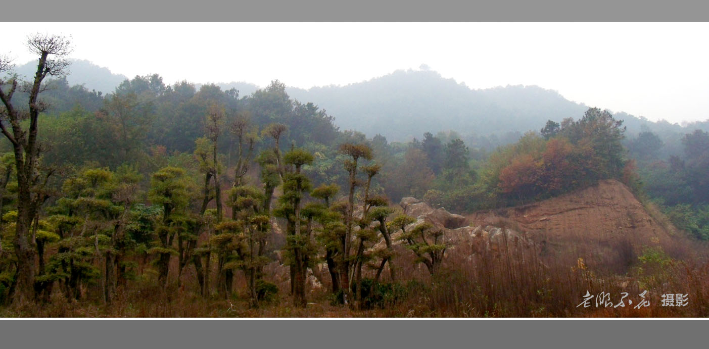 贤山小景6.jpg