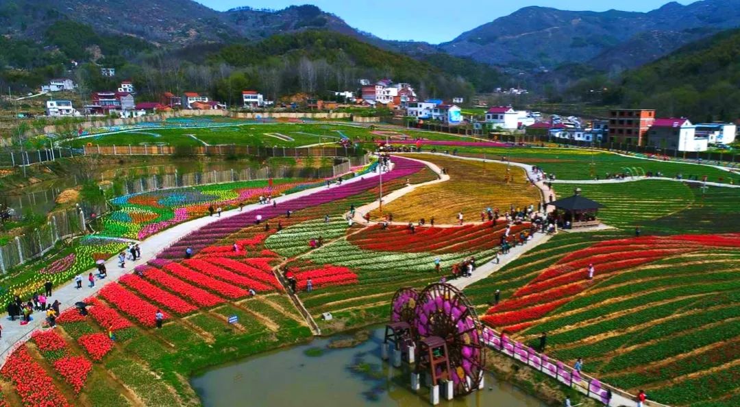 春天就去西九华山,龙津溪地踏青吧 花海,竹林,清泉